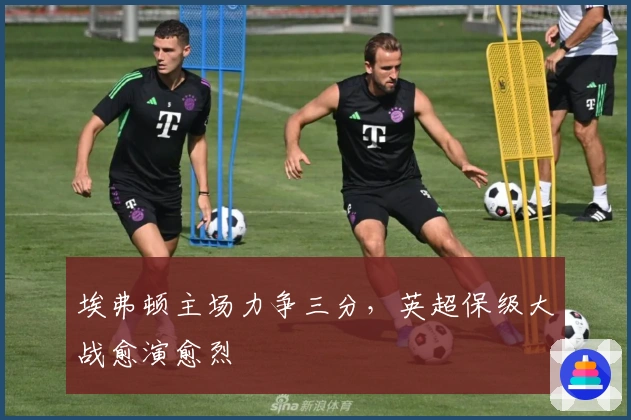 埃弗顿主场力争三分，英超保级大战愈演愈烈