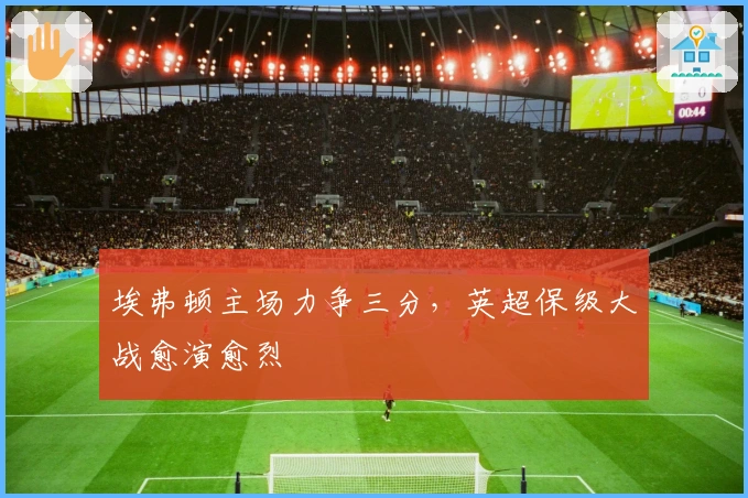 埃弗顿主场力争三分,英超保级大战愈演愈烈